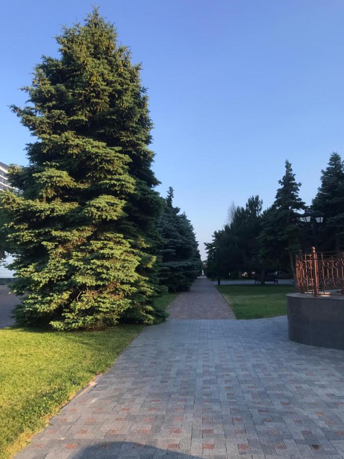 Спальня-Студия С Видом На Море И Парк Odessa Buitenkant foto